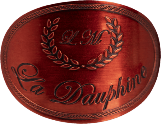 You are currently viewing Le nouveau né de la gamme LM Innovation « LA DAUPHINE ». Conçue spécialement pour les particuliers.