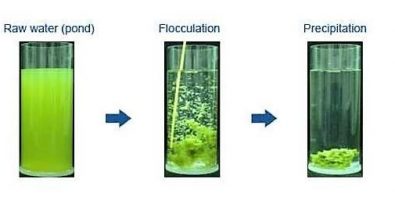 floculation